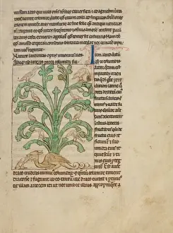 English Illuminated Manuscripts Prints: A Peridexion