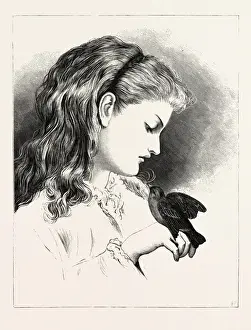 Vintage Pet Illustrations Prints: OUR PET