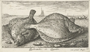 Two plaice on the beach, Louis Bernard Coclers, 1756 - 1817 Two plaice on the beach, Louis Bernard Coclers, 1756 - 1817