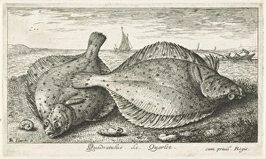 Two plaice on the beach, Reinier Craeyvanger, 1822 - 1880 Two plaice on the beach, Reinier Craeyvanger, 1822 - 1880