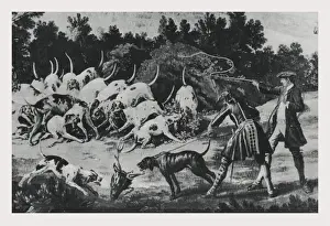Wild Boar Hunt Prints: quarry