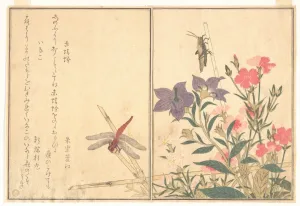 Red Dragonfly Akatonbo Locust Inago Picture Book Red Dragonfly Akatonbo Locust Inago Picture Book