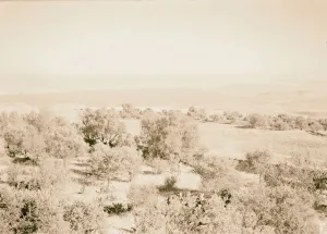 Safad view Galilee Lake hospital 1940 Israel Safad view Galilee Lake hospital 1940 Israel