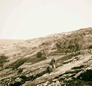 Safed A city built hill American Colony Jerusalem Safed A city built hill American Colony Jerusalem