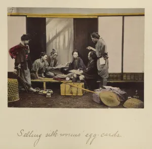 Selling Silk-worms Egg-cards Shinichi Suzuki Selling Silk-worms Egg-cards Shinichi Suzuki