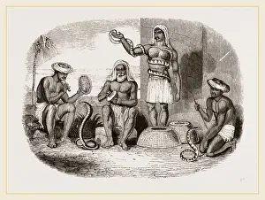 Natural History Museum Collection Prints: Serpent-Charmers