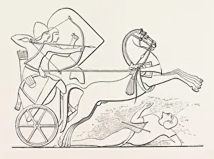 Horse In Battle Scene Prints: Source Size = 2071 x 1511