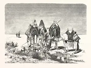Egyptian Art History Prints: Source Size = 3176 x 2360