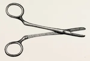 spencer wellss artery forceps, medical equipment, surgical instrument, history spencer wellss artery forceps, medical equipment, surgical instrument, history