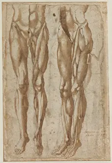 Framed Print : Two Studies of a Flayed Man Print, 1554