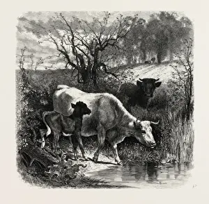 Victorian Style Artwork Prints: The Sunny Slope. Peter Moran