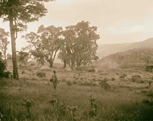 Tanganyika Ngorongoro Crater Ulyate Camping Ground Tanganyika Ngorongoro Crater Ulyate Camping Ground