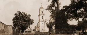 The tree of Noche Triste, Popotla, Jackson, William Henry, 1843-1942, Churches, Historic The tree of Noche Triste, Popotla, Jackson, William Henry, 1843-1942, Churches, Historic