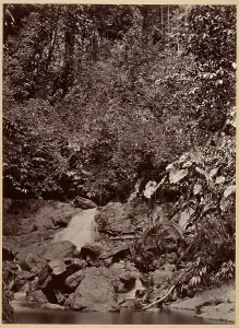 Tropical Scenery Cascade Limon River 1871 Albumen silver print Tropical Scenery Cascade Limon River 1871 Albumen silver print