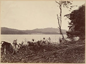 Tropical Scenery Darien Harbor Chipigana 1871 Tropical Scenery Darien Harbor Chipigana 1871