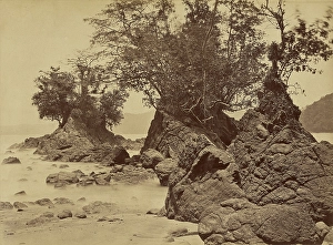 Tropical Scenery Islands Limon Bay John Moran Tropical Scenery Islands Limon Bay John Moran