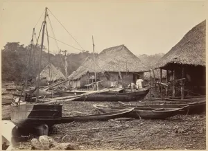 Tropical Scenery Landing Chipigana 1871 Albumen silver print Tropical Scenery Landing Chipigana 1871 Albumen silver print