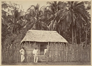 Tropical Scenery Native Hut Turbo 1871 Albumen silver print Tropical Scenery Native Hut Turbo 1871 Albumen silver print