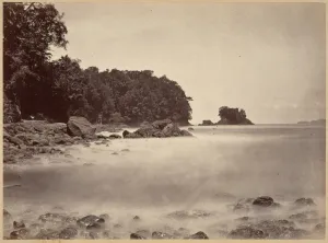 Tropical Scenery View Limon Bay 1871 Albumen silver print Tropical Scenery View Limon Bay 1871 Albumen silver print