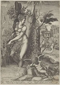 Venus rose Venus stands feet water rose bush Venus rose Venus stands feet water rose bush