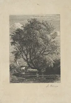 Willow 1850 Etching Print, second state three sheet Artokoloro