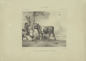young bull title object Le jeune taureau de P young bull title object Le jeune taureau de P