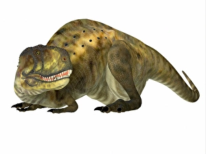 Theropod Predator Prints: Abelisaurus dinosaur lying down
