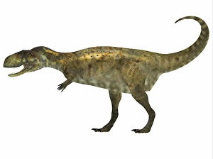 Theropod Predator Prints: Abelisaurus dinosaur, white background