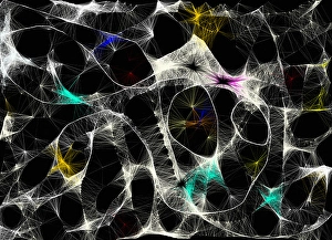 Digital Artwork Background Prints: Abstract wavy lines pattern