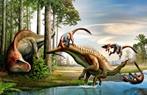 An Acrocanthosaurus observes a Tenontosaurus being attacked by Deinonychus An Acrocanthosaurus observes a Tenontosaurus being attacked by Deinonychus