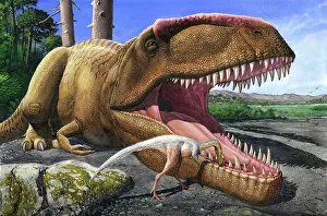 An Alvarezsaurid bird cleans the mouth of a Giganotosaurus carolinii dinosaur An Alvarezsaurid bird cleans the mouth of a Giganotosaurus carolinii dinosaur