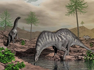 Amargasaurus Dinosaur Print: A Streamside Scene