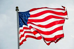 American Flags Waving Prints: The American flag waves in the wind