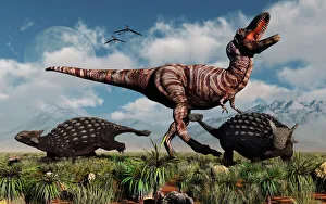 Ankylosaurus dinosaurs defend themselves against a T-Rex Ankylosaurus dinosaurs defend themselves against a T-Rex
