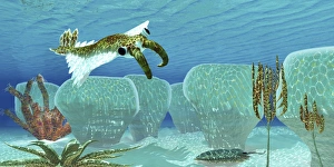 Anomalocaris sneaks up on a Trilobite in Cambrian seas Anomalocaris sneaks up on a Trilobite in Cambrian seas