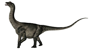 Cretaceous Era Dinosaurs Prints: Antarctosaurus dinosaur - 3D render