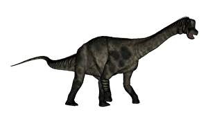 Prehistoric Animal Images Prints: Antarctosaurus dinosaur - 3D render