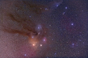 Antares and Scorpius Head area with Rho Ophiuchi nebulosity Antares and Scorpius Head area with Rho Ophiuchi nebulosity