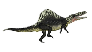 Archosauria Species Prints: Arizonasaurus dinosaur roaring