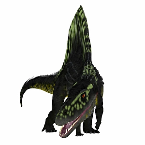 Prehistoric Predators Prints: Arizonasaurus dinosaur, front view on white background