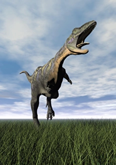 Aucasaurus dinosaur running on the green grass with mouth open Aucasaurus dinosaur running on the green grass with mouth open