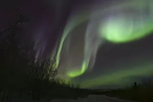 Images Dated 14th December 2006: Aurora borealis by Fish lake, Whitehorse, Yukon, Canada