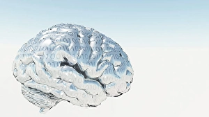 Human Nervous System Illustration Prints: Binary Brain. 3D rendered