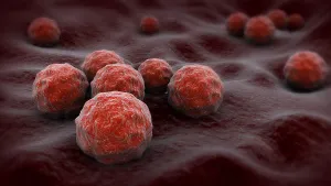 Biomedical Illustration Prints: Biomedical illustration of chlamydia on surface
