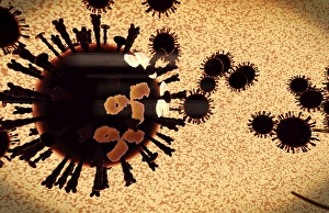 A black swarm of H5N1 avian flu viruses are attacked by antibodies A black swarm of H5N1 avian flu viruses are attacked by antibodies