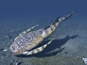 Prehistoric Sea Life Prints: Bothriolepis is an extinct placoderm from the Late Devonian of Canada