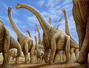 Brachiosaurus Print: Large Herbivore Herd in Motion