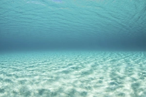 Bright sunlight ripples across a seafloor in the tropical Pacific Ocean Bright sunlight ripples across a seafloor in the tropical Pacific Ocean