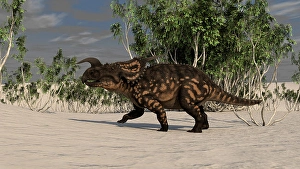 Cretaceous Era Animals Prints: Brown Einiosaurus in a desert environment