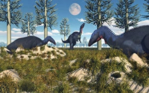 Camptosaurus nesting ground set during the Jurassic Period Camptosaurus nesting ground set during the Jurassic Period